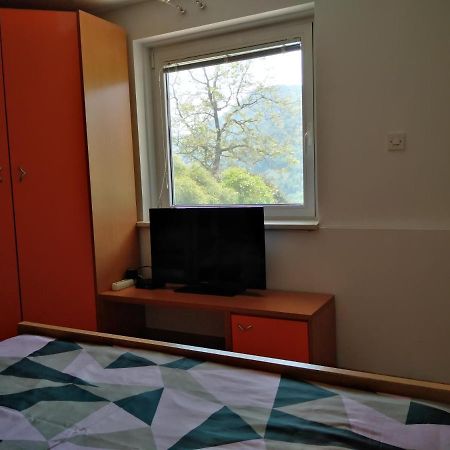 Apartment Zadraga Tolmin Esterno foto